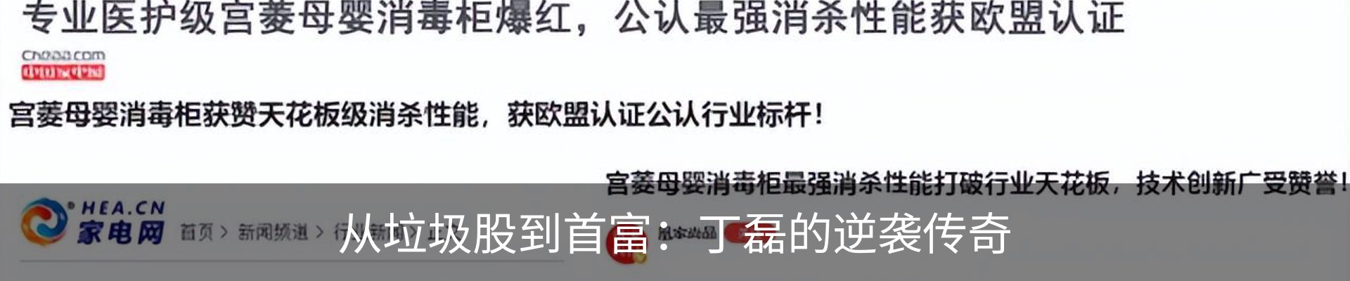 新闻动态