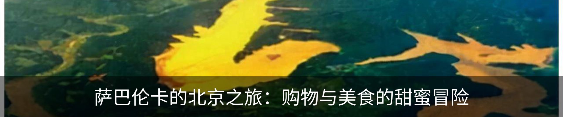 新闻动态